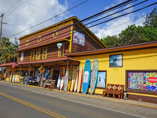 ノースショア（ハレイワ）往復シャトルサービス　ハレイワ滞在たっぷり5時間！先着10名様のベルトラ限定ミニツアー付き＜日本語ドライバー／7時半または11時出発＞