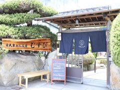 IMG_1038-500x333