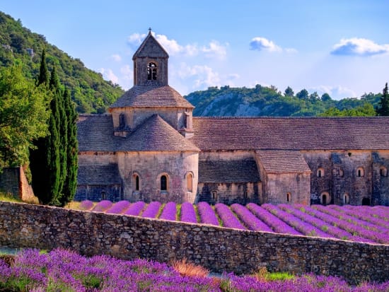 France_Provence_Gordes_Senanque Abbey_Lavender_shutterstock_384685444