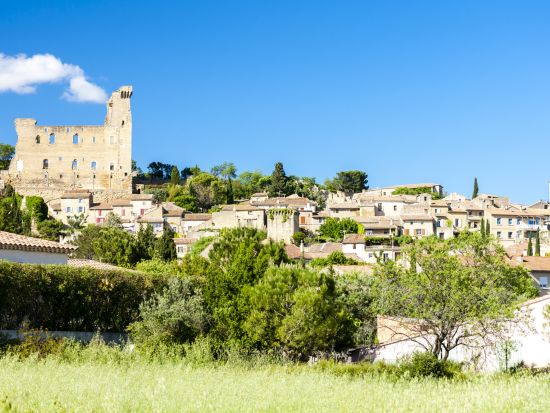 世界遺産ポン・デュ・ガールとローヌ地方ワインツアー　シャトーヌフ・デュ・パプ＆タヴェル ＜試飲付（2軒）／日本語または英語ガイド／アヴィニョン発＞