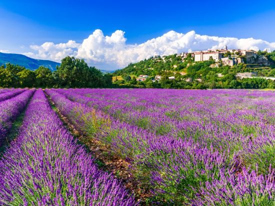 リュベロンの村々とラベンダー畑を満喫！1日観光ツアー＜6月～7月／貸切／日本語ガイド／アヴィニョン発＞
