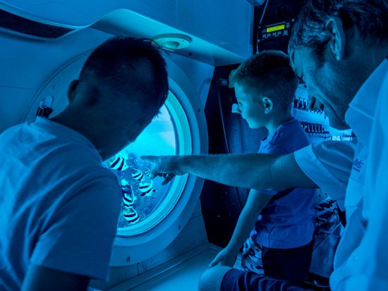 アトランティス潜水艦ツアー　ハワイの海底30mを進む海中アドベンチャー ＜ヒルトン・ハワイアン・ビレッジ発／日本語ナレーション（要事前ダウンロード）＞