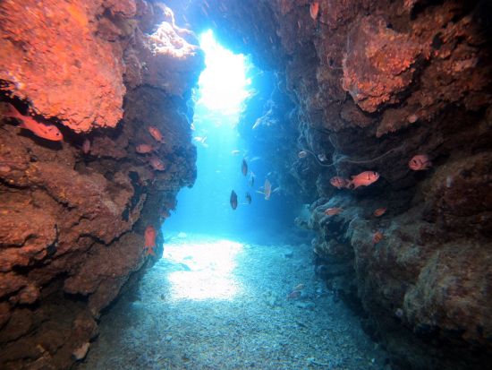 ファンダイビング　石垣島到着後すぐにできるダイブプランやナイトダイブプランもご用意！＜ボート／1～3ダイブ＞by イエローサブマリンダイブスタジオ