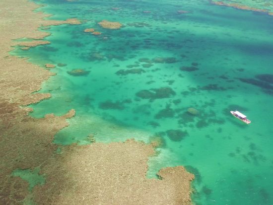 シュノーケリング　自社ボートや設備充実のショップありで快適な体験を＜1日または半日／島内送迎無料／石垣島＞by イエローサブマリンダイブスタジオ