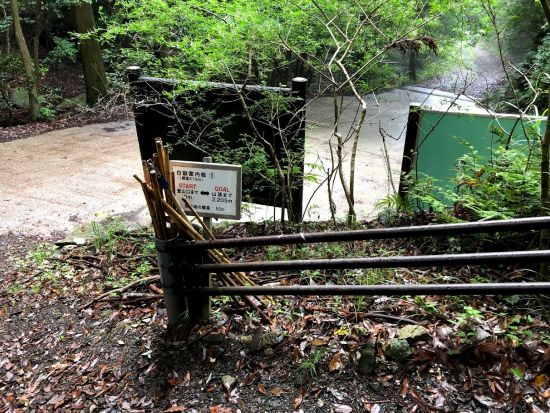 霊峰 白嶽（しらたけ）トレッキングツアー 海抜ほぼゼロから歩く飽きない登山道で対馬の自然を満喫 温泉入浴付きプランもあり＜ホテル送迎付き＞