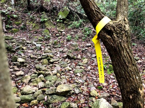霊峰 白嶽（しらたけ）トレッキングツアー 海抜ほぼゼロから歩く飽きない登山道で対馬の自然を満喫 温泉入浴付きプランもあり＜ホテル送迎付き＞