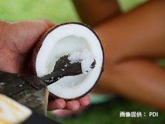 PDIココナッツオイル作り画像(クレジット有) (3)