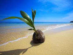 LanikaiBeach_Oahu_Hawaii_shutterstock_30306868