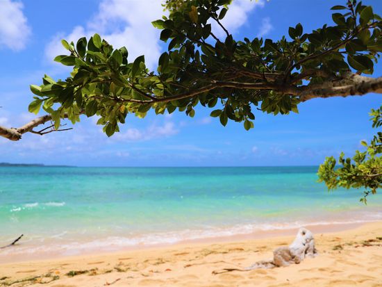 鳩間島_屋良浜