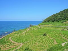 pixta_39041698_M2