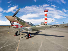 Curtiss-P-40E-Warhawk