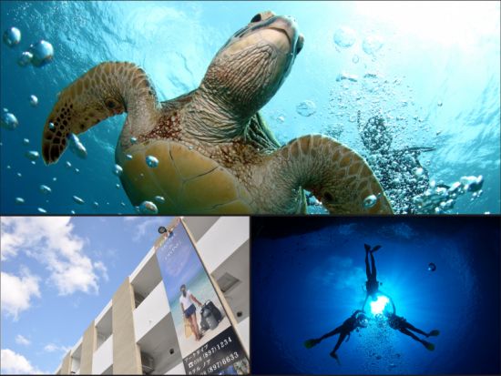 慶良間ファンダイビング　ショップ併設ホテル宿泊で便利！　専用クルーザーはトイレ、シャワー等充実の設備＜2泊3日5ダイブまたは3泊4日8ダイブ／那覇空港無料送迎＞