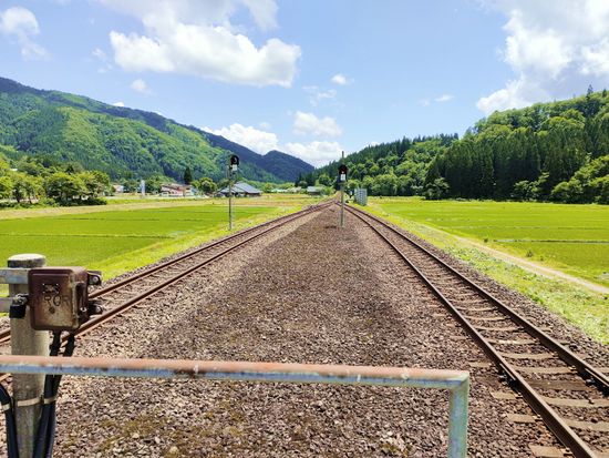 11000003782216_OWELE1Lj_0