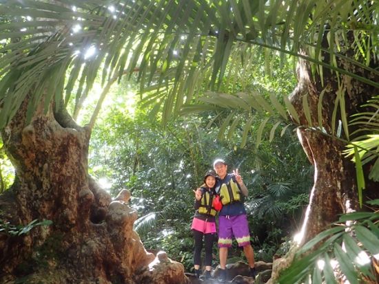 西表島マングローブカヤック+トレッキングツアー　マイナスイオンたっぷりのピナイサーラの滝でランチ＜昼食付き／送迎選択可／西表島発＞