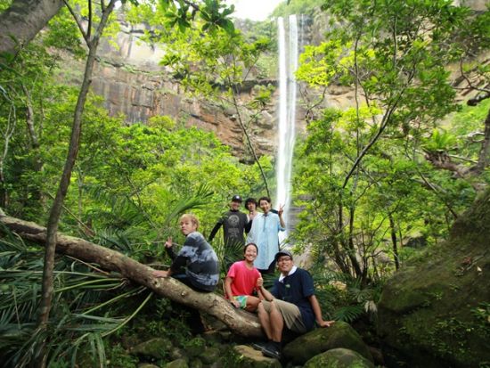 ピナイサーラの滝カヌー+バラス島シュノーケリングツアー　生物の違いも楽しめる！海とマングローブ両方制覇＜昼食付き／上原港または西部地区ホテル無料送迎／西表島＞