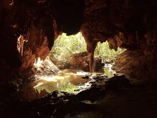西表島マングローブカヤックツアー+洞窟探検ツアー　滝つぼでの昼食や暑い日はクールダウンで泳いでもOK＜昼食付き／送迎選択可／西表島発＞