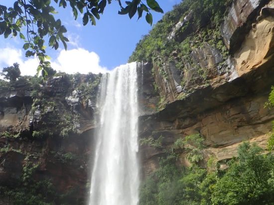 マングローブカヌー＋ピナイサーラの滝トレッキング＋由布島観光ツアー　午前はマングローブ、午後は由布島を満喫＜上原港または西部地区ホテル無料送迎／西表島＞