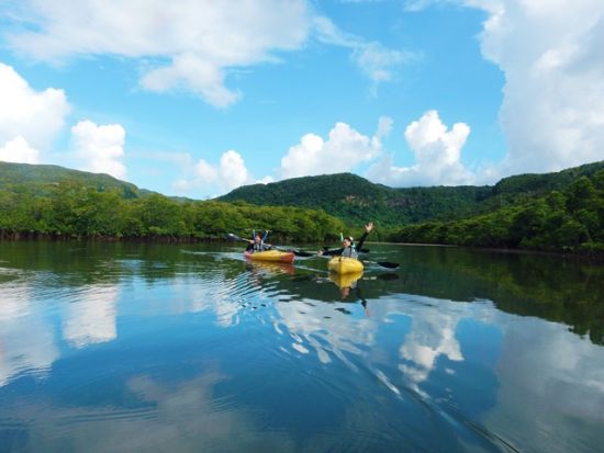 マングローブカヌー＋ピナイサーラの滝トレッキングツアー　滝上からの絶景と滝つぼから見上げる迫力の滝に感動！＜上原港または西部地区ホテル無料送迎／西表島＞