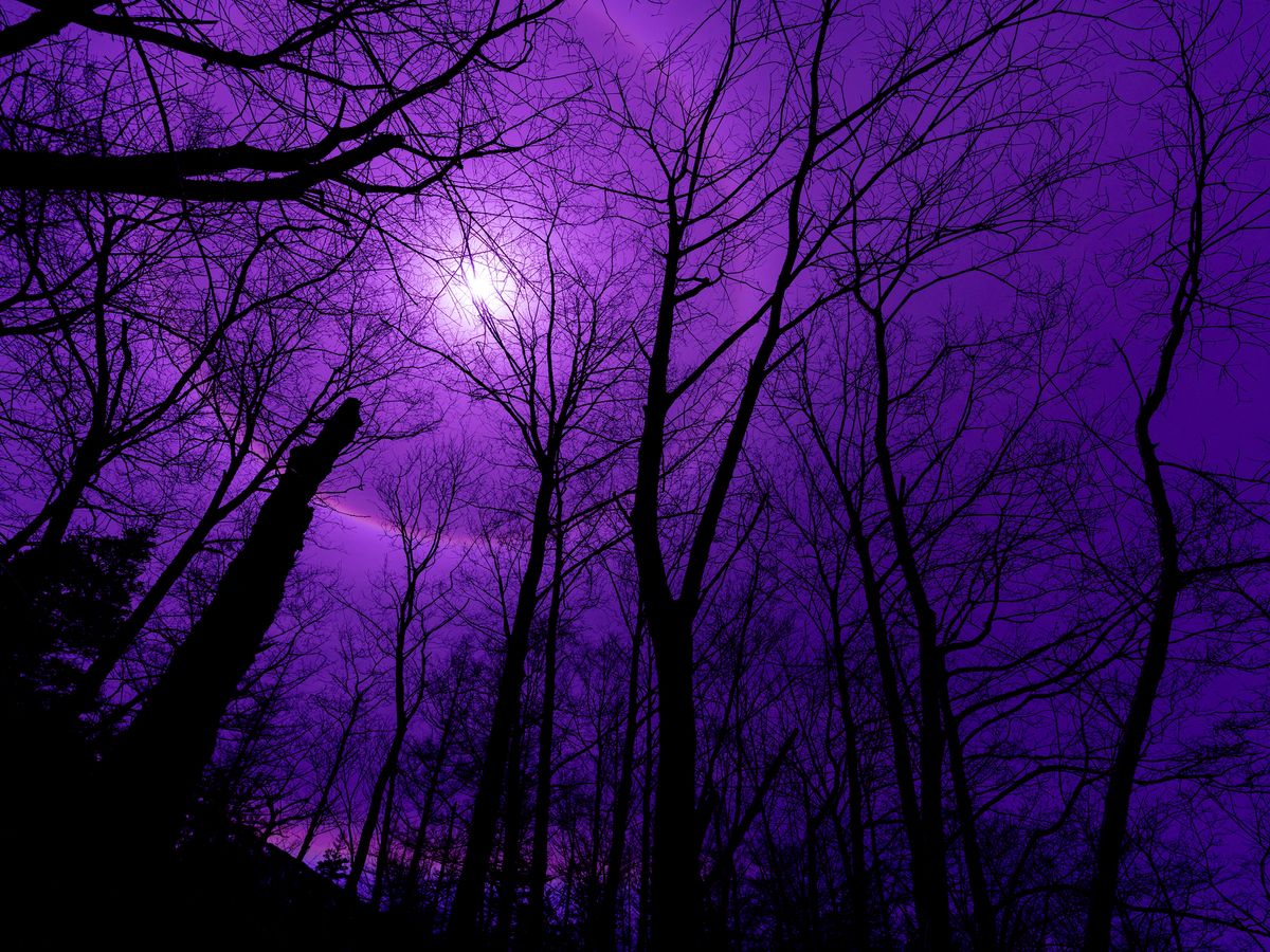 金沢の心霊スポット7か所を巡るミステリーツアー 夜の貸切観光タクシー 1 4名 金沢市 4名参加で1名3 700円 金沢の観光 遊び 体験 レジャー専門予約サイト Veltra ベルトラ