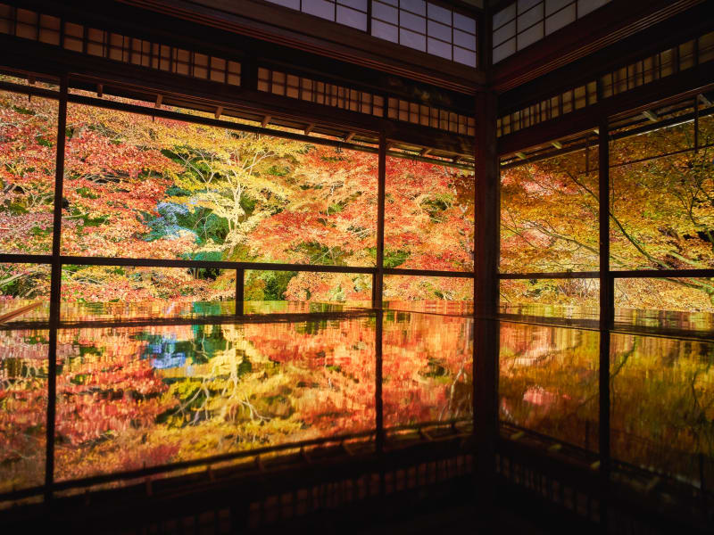 京都紅葉ツアー21 現地発オプショナルツアー 京都 旅行の観光 オプショナルツアー予約 Veltra ベルトラ