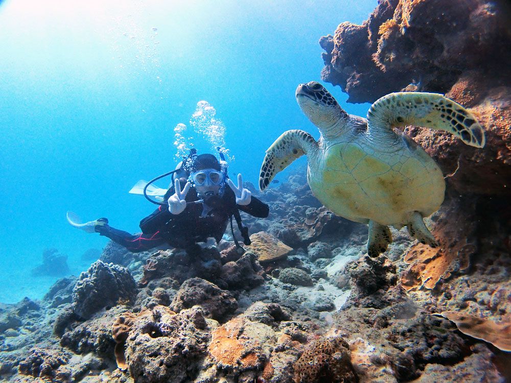 【・．✴︎夏季限定特別特価✴︎．・】ダイビング　スキューバーダイビングセット ダイビング・スキューバダイビング | 屋久島 旅行の観光・オプショナル