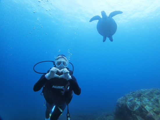 ビーチ体験ダイビング 午前または午後の半日ツアー 記念動画プレゼント！＜約3時間＞ by マリンクラブ カイオロヒア
