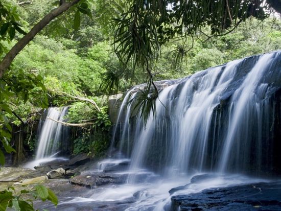 マングローブカヌー＋サンガラの滝トレッキング　人が少ない穴場スポットで滝遊びを満喫　バラス島でシュノーケリング付きプランあり＜上原地区無料送迎／西表島＞