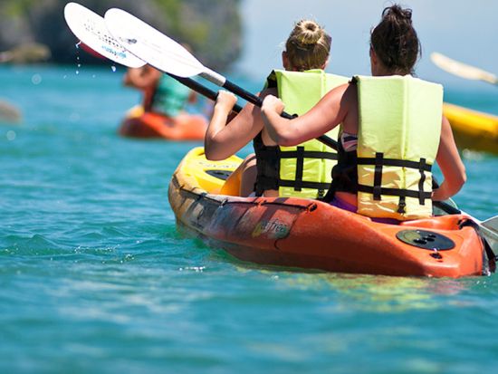 コナ・コースト　シーカヤック＆シュノーケリングツアー　野生のイルカをカヤックから観察！＜早朝／英語ガイド＞by オーシャンサファリ・カヤック