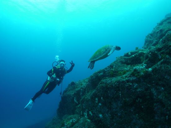 リバーカヤック＋体験ダイビング 1日ツアー 水中カメラ無料レンタル可＜昼弁当付＞ ＊前日16:00までリクエスト可＊by 屋久島ガイドクラブ