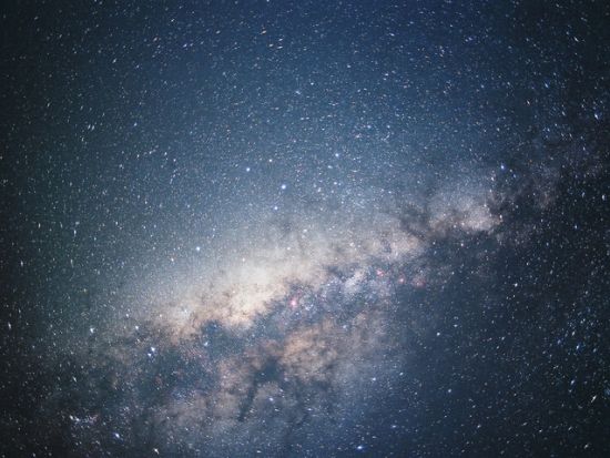 父島ナイトツアー 島内巡りで夜しか見られない小笠原の動植物と星空を観察＜夜／送迎付き／小笠原諸島・父島発＞by PAT INN