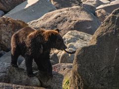 pixta_69618505_M