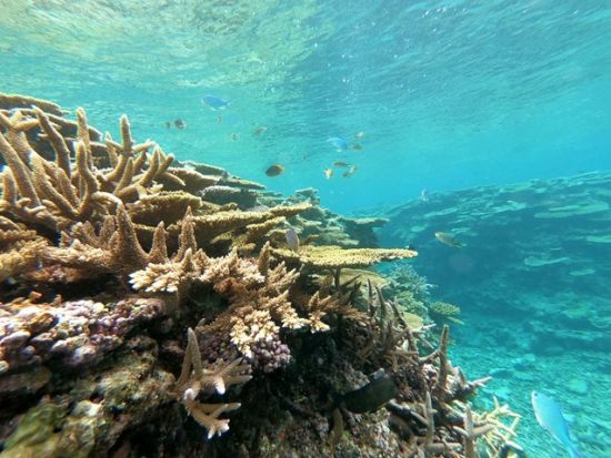 【八重干瀬】シュノーケリングドローン撮影Gpro12無料 初心者の方に人気！3つのポイントで楽しめる＜午前・午後／3月～11月催行／宮古島＞