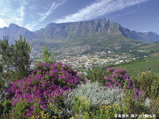 テーブルマウンテンを電動マウンテンバイクでサイクリング　初心者にもおすすめ！＜混載／英語／ケープタウン発＞