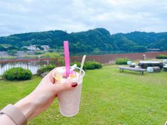 IMG_0734