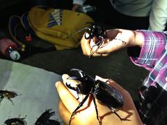 20200805023241_195725871_15065_0