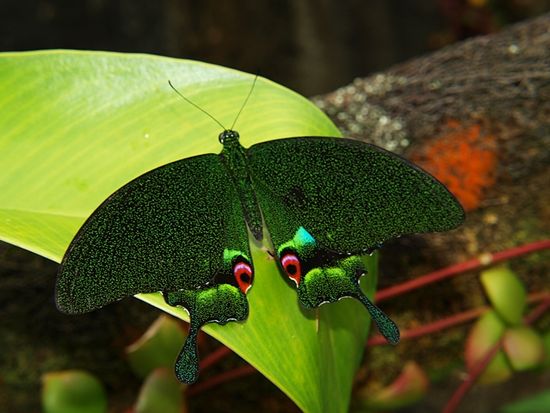 20200805023241_2101742865_15065_0