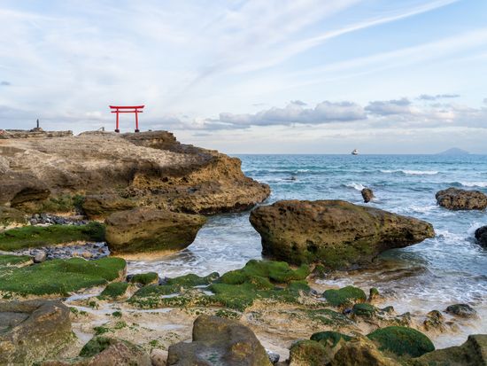 Japan_Shizuoka_Shimoda_下田市白浜神社_鳥居pixta_62761489_M