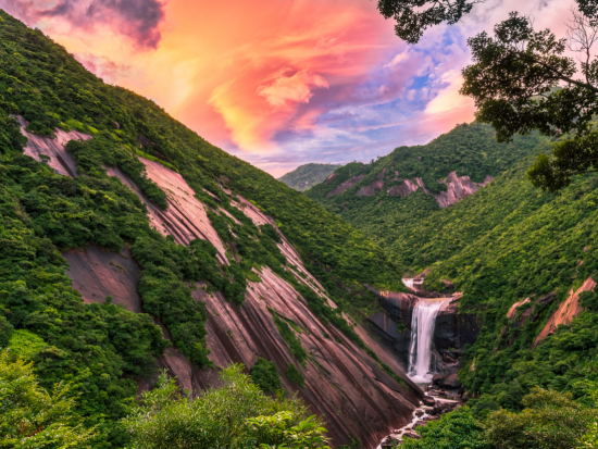 縄文杉1日＋白谷雲水峡半日（苔むす森まで）トレッキング RAKUSAホテル2泊3日宿泊セットツアー ＋初日レンタカー＜登山装備レンタル付き＞ by A・N・D