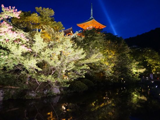 ライトアップバスツアー 清水寺千日詣と高台寺の夜間拝観（2026/8/14～15限定）＜京都駅発＞by おこしバス（京都定期観光バス）