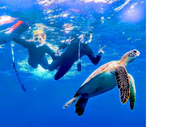 【送迎無料】幻の島＋青の洞窟＋高遭遇ウミガメシュノーケリング！超お得に満喫★2大人気スポット＜写真4K動画・器材込み・ドローン持込可・竹富格安券＞5歳～＆1名可