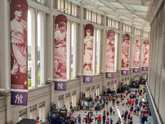 ニューヨーク・Yチーム　プロ野球観戦チケット ＜2026年シーズン／4～9月／ホームゲーム＞