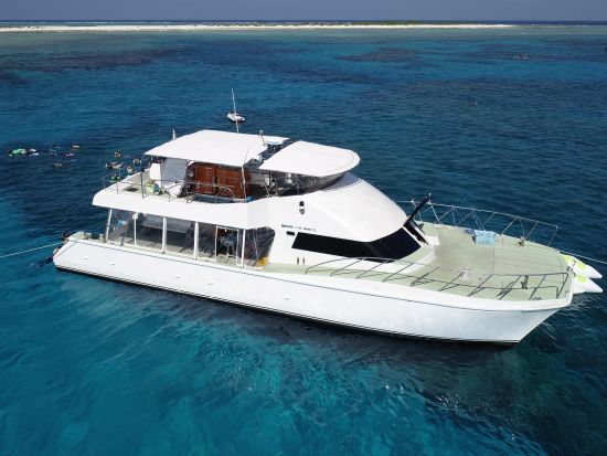 ナイトクルーザーチャーター　大型カタマラン船「NEWS弐号」で貸切クルーズ！BBQオプションあり＜2時間／60名／那覇発＞