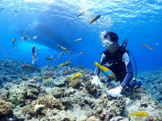 慶良間クルーザーチャーター　大型カタマラン船「NEWS壱号」で貸切クルーズ！BBQ＆マリンスポーツオプションあり＜3～6時間／40名／那覇発＞