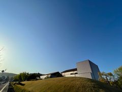 IMG_5265