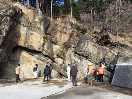 たのはたジオパークガイド　北山崎三陸ジオパークで地球の営みを感じよう！白亜紀の化石層から広がる1億年の旅へ、ガイドがご案内＜1時間／田野畑村＞
