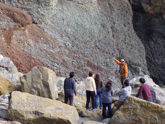 たのはたジオパークガイド　北山崎三陸ジオパークで地球の営みを感じよう！白亜紀の化石層から広がる1億年の旅へ、ガイドがご案内＜1時間／田野畑村＞