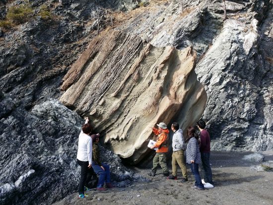たのはたジオパークガイド　北山崎三陸ジオパークで地球の営みを感じよう！白亜紀の化石層から広がる1億年の旅へ、ガイドがご案内＜1時間／田野畑村＞