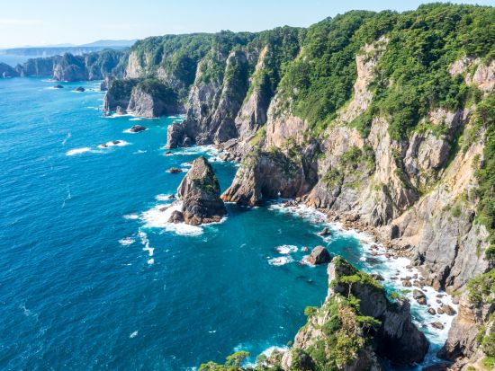 たのはたジオパークガイド　北山崎三陸ジオパークで地球の営みを感じよう！白亜紀の化石層から広がる1億年の旅へ、ガイドがご案内＜1時間／田野畑村＞