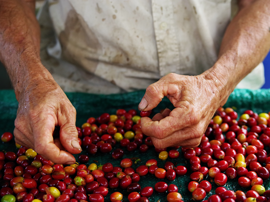 shutterstock_1217759719