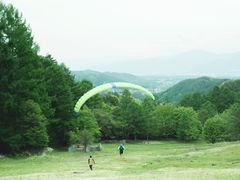 061 (1)